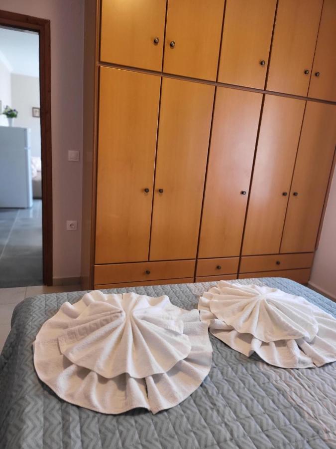 カルパトスRoumeliotis Houseアパートメント エクステリア 写真