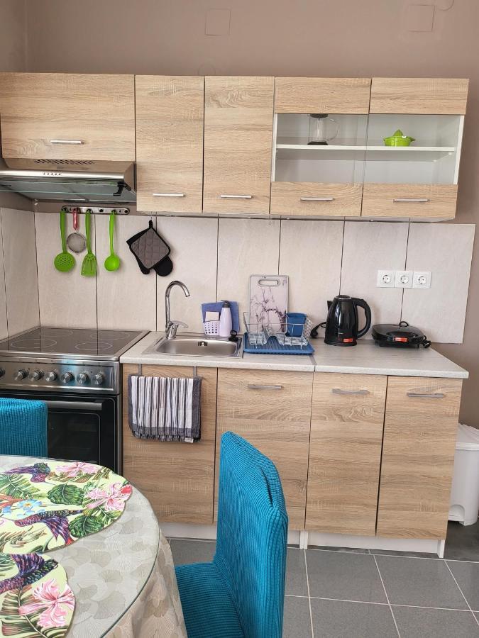 カルパトスRoumeliotis Houseアパートメント エクステリア 写真
