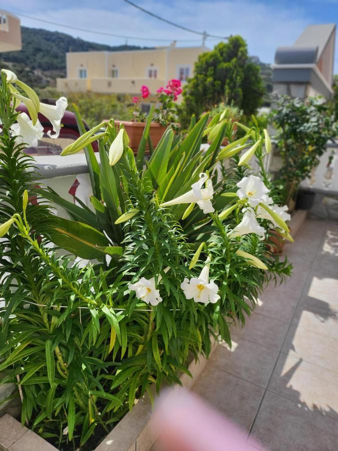カルパトスRoumeliotis Houseアパートメント エクステリア 写真