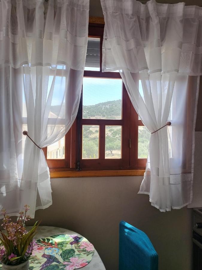カルパトスRoumeliotis Houseアパートメント エクステリア 写真